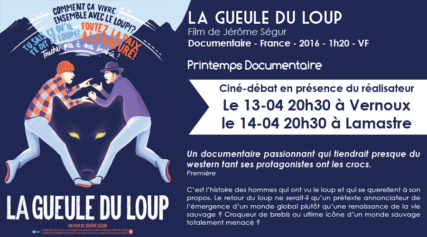 mailing-la-gueule-du-loup